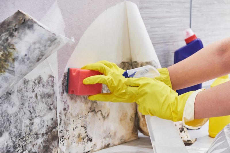 Attic Mold Removal in Jupiter, FL