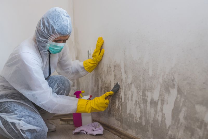 Attic Mold Removal in Frisco, TX