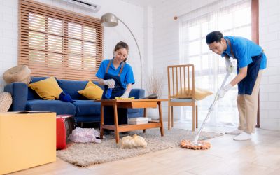 Couch Cleaning Service