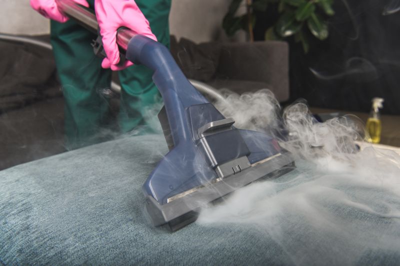 Furniture Cleaning Service