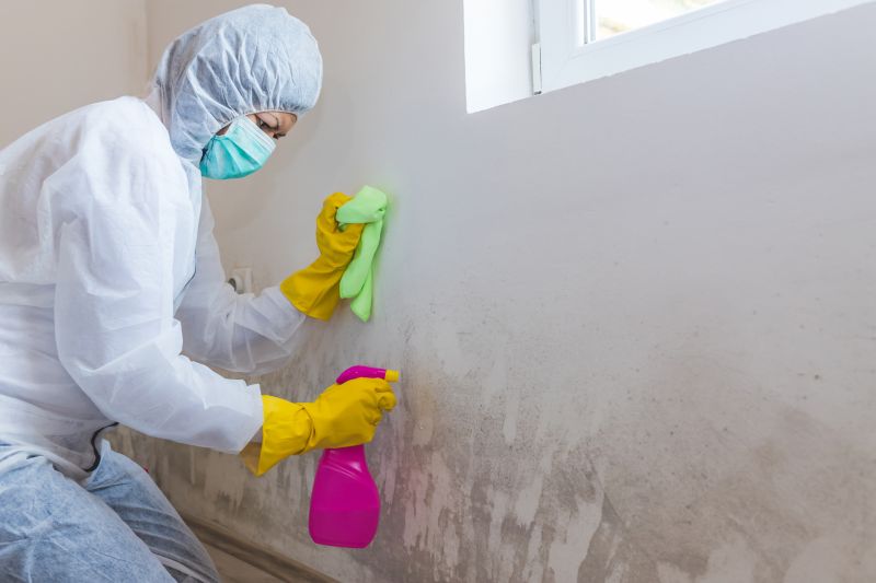 Mold Cleanup Service in Jupiter, FL