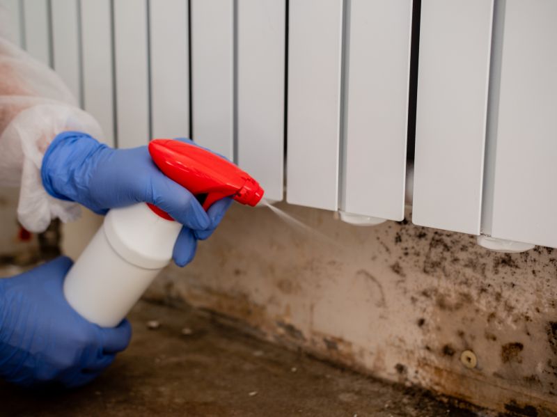 Mold Treatment Service in Jupiter, FL