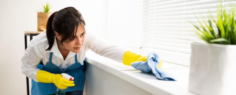 Move In Cleaning Service