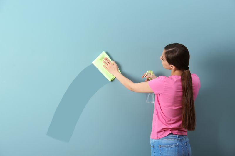Wall Cleaning Service