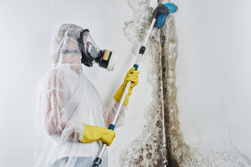 Basement Mold Remediation in Broward County, FL