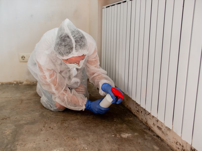 Black Mold Remediation in Fort Worth, TX
