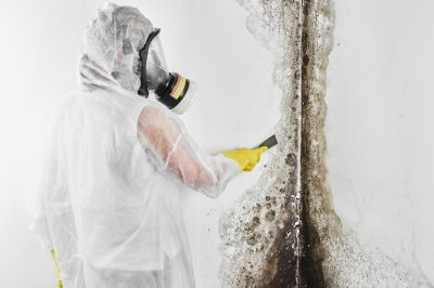 Mold Control in Denton, TX
